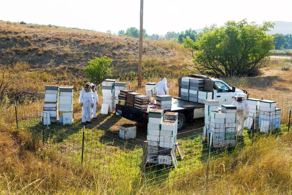 Weergave van een Bee Yard — Stockfoto