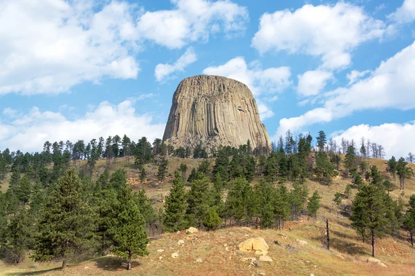 Devils Torre e Árvores — Fotografia de Stock