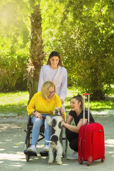 Selective focus of a group of women, one of them in a wheelchair, pet a cheerful dog at a park