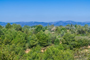 Stone shack surrounded by wild vegetation in a mountain