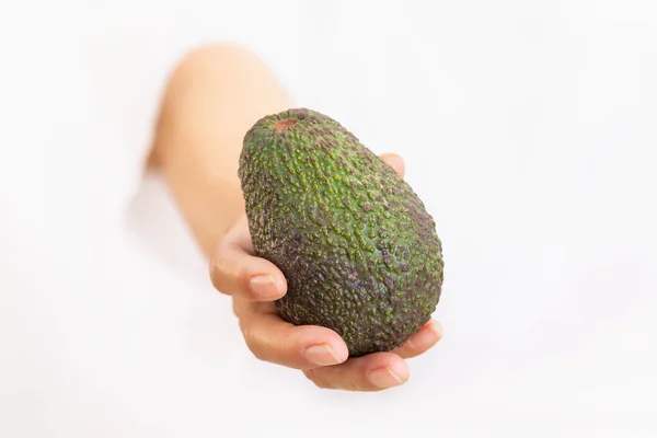 Рука держит свежий и спелый авокадо: Селективный фокус и закрыть. Концепция свежего и здорового питания — стоковое фото