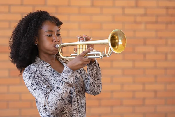 Porträt einer jungen Afroamerikanerin, die draußen vor Backsteinmauern Trompete spielt Stockbild