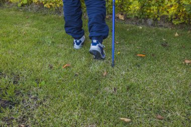 Kuzeyli bir adamın ormanda sopayla yürüdüğünü görmek. Sağlık kavramı geçmişi. 