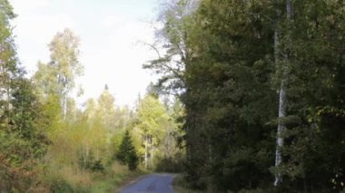 Sonbahar ormanlarında yolda inanılmaz bir güzellik mavi gökyüzünde beyaz bulutlarla. Güzel sonbahar doğası..