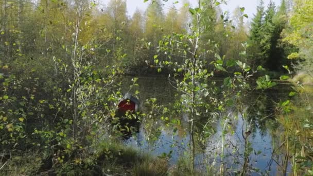 Krásný Výhled Tmavě Modrou Jezerní Vodu Lekníny Zelenou Sedlinu Ptačí — Stock video
