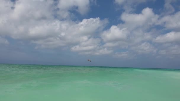 Csodálatos Szépség Türkiz Hullámok Atlanti Óceán Kék Háttér Gyönyörű Természet — Stock videók