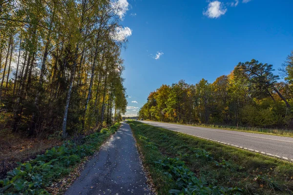 美丽的秋天风景 黄树上的柏油路和蓝天白云背景 — 图库照片