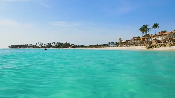 Increíble Belleza Playa Del Mar Caribe Isla Aruba Hermosa Naturaleza — Vídeo de stock