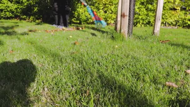 Vista Homem Limpando Grama Forma Folhas Caídas Com Ancinho Outono — Vídeo de Stock