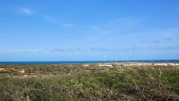 Natürliche Schönheit Arubas Nordküste Offroad Aruba Erstaunliche Steinwüstenlandschaft Blaues Meer — Stockvideo