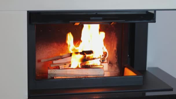 Beautiful View Burning Wood Fireplace Beautiful Backgrounds — Stock Video