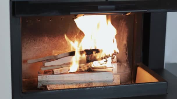 Beautiful View Burning Wood Fireplace Beautiful Backgrounds — Stock Video