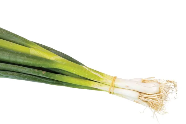 Beyaz Arka Planda Izole Edilmiş Yeşil Soğanların Yakın Görüntüsü Sebze — Stok fotoğraf