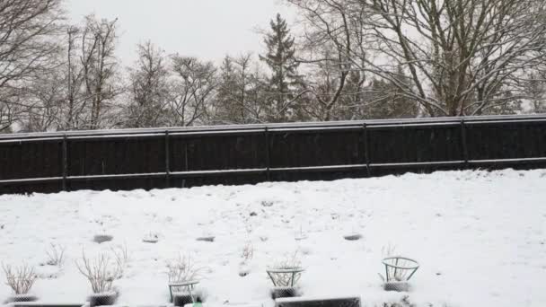 パレットカラーのプライベート小さな庭の外観の豪華な冬の景色 ランドスケープデザイン 美しい冬の自然背景 園芸の概念 — ストック動画