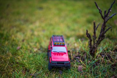 Çimenlikteki güzel model araba manzarası. Boş zaman Çocuklar ve yetişkinler konsepti. 