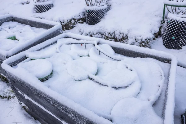 Vista Vicino Del Giardino Innevato Fragola Che Cresce Pallets Ricoperti — Foto Stock