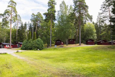 Güzel orman manzarası. Güneşli orman gününde kırmızı ahşap binalar ve yeşil orman ağaçları.