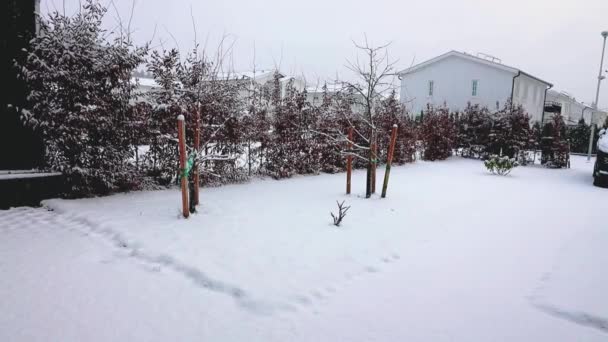 プライベートエリアの冬の風景の美しい景色 雪に覆われた木々や茂み 背景に美しい白いヴィラ — ストック動画