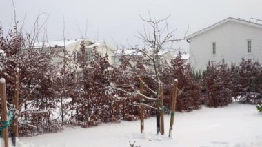 Kış manzarası çok güzel, özel bir yer. Karla kaplı ağaçlar ve çalılar. Arka planda güzel beyaz villalar.