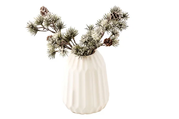 Schöne Nahaufnahme Der Winterdekoration Element Schneebedeckter Fichtenzweig Weißer Vase Auf — Stockfoto