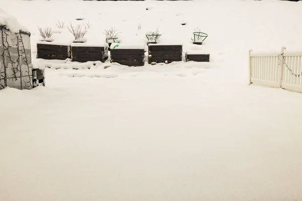 プライベートガーデンの外観の豪華な冬の景色景観デザイン 美しい冬の自然背景 園芸の概念 スウェーデン — ストック写真