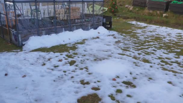 Prachtig Uitzicht Achtertuin Warme Winterdag Groene Huis Achtertuin Groene Landschap — Stockvideo