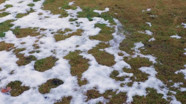 多雪的前院美丽的自然景观 春天里阳光明媚 青菜在雪下 青草在雪下 — 图库视频影像