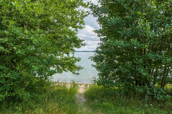 Вид Летний Пейзаж Дорога Ведущая Балтийскому Морю Через Деревья Облачном — стоковое фото