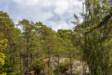 Kayalık zemindeki güzel doğa manzarası. İsveç.