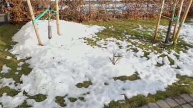 Karlı ön bahçenin güzel doğal manzarası. Güneşli bahar gününde, beyaz kar altında yeşil bitkiler ve çimenler. İsveç.