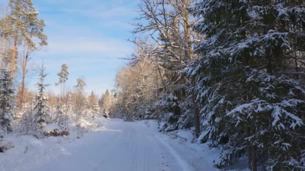Prachtig Uitzicht Het Winterlandschap Buig Van Landweg Ijzige Bosbomen Zweden — Stockvideo
