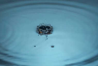 Arka planda izole edilmiş mavi su yüzeyinde daireler çizen damlaların görüntüsünü kapat.