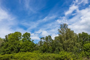 Baltık Denizi manzaralı dağdan doğaya güzel bir manzara. Mavi gökyüzündeki yeşil orman ağaçlarının tepeleri ve güneşli yaz gününde beyaz bulutların arkaplanı. İsveç.