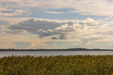 Beyaz bulutlarla kaplı güzel Baltık deniz manzarası. Güzel yaz doğası geçmişi. İsveç, Avrupa.