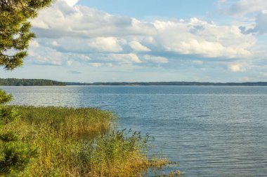 Muhteşem yaz manzarası. Baltık deniz aynası yüzeyi ve beyaz bulutlu mavi gökyüzü. İsveç.