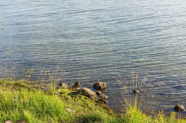 Aynalı su yüzeyine yansıyan yeşil bitkilerle Baltık kıyıları. Güzel arka planlar. İsveç