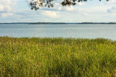 Beyaz bulutlarla kaplı güzel Baltık deniz manzarası. Güzel yaz doğası geçmişi. İsveç.