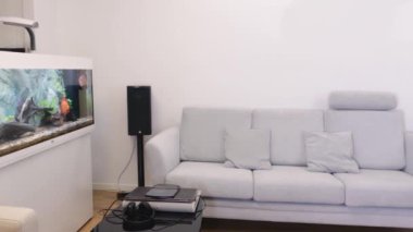 Modern oturma odasının iç manzarası. Beyaz şömine, beyaz arka planda açık renkli mobilyalar. İsveç.