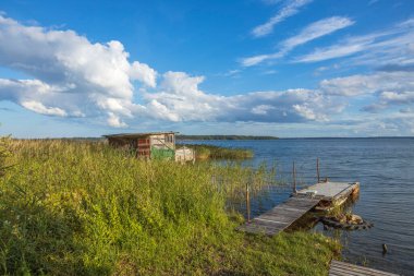 Baltık deniz kıyısındaki yüksek yeşil çimlerle çevrili küçük ahşap binanın yakın görüntüsü. İsveç.