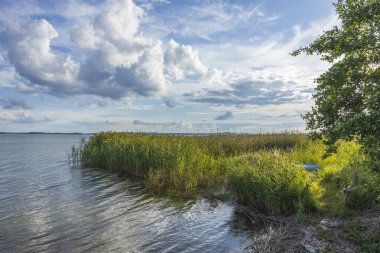 Beyaz bulutlu mavi gökyüzünde Baltık Denizi 'nde inanılmaz bir güzellik. Güzel yaz doğası geçmişi. İsveç.