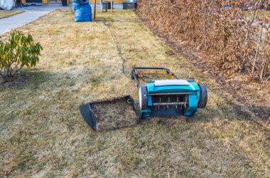 Preparing the lawn for summer with an electric aerator in early spring. Garden machines concept.   clipart