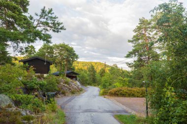 Güneşli yaz gününde güzel doğa manzarası. Mavi arka planda uzun yeşil ağaçlar arasında küçük ahşap evler. İsveç.