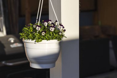 Beyaz mor sütunlu beyaz sütunlarda asılı sepetin güzel manzarası. İsveç.