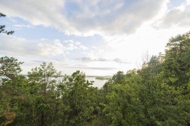 Yeşil orman ağaçlarının tepelerinde muhteşem güzellikte gün batımı Baltık Denizi 'nde mavi gökyüzü ve yaz günü beyaz bulutlar. İsveç.
