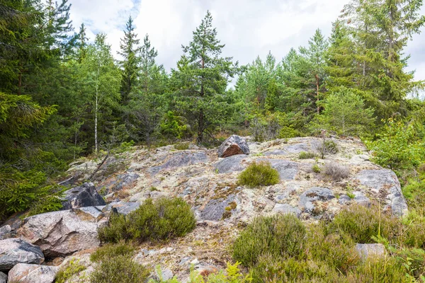 Vacker Natur Landskap Utsikt Stenig Mark Sverige — Stockfoto