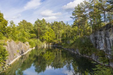 Güzel doğa manzarası. Mavi arka planda kayalık sahil ve uzun çam ağaçları. İsveç.
