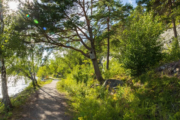 Zicht Vogelhuisje Aan Boom Met Groene Bomen Kleurrijke Natuur Achtergronden — Stockfoto