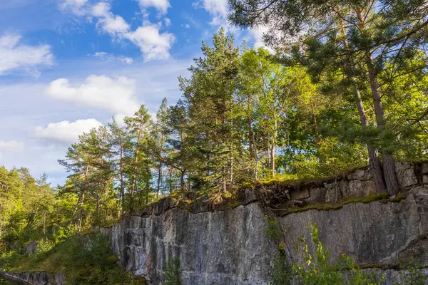 Prachtig Uitzicht Het Natuurlandschap Rotskust Hoge Pijnbomen Blauwe Lucht Achtergrond — Stockfoto