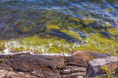 Baltık Denizi 'nin güzel kıyı şeridi manzarası. Muhteşem doğa manzarası arka planları. İsveç.