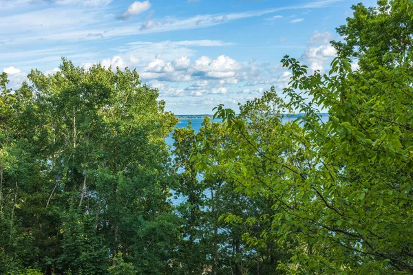 Beau Paysage Forestier Naturel Vue Sur Mer Baltique Suède — Photo